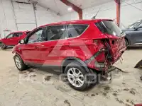 2019 Ford ESCAPE фото