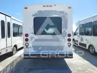 2019 Ford TRANSIT фото