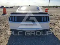 2019 Ford MUSTANG photo