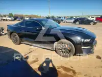 2019 Ford MUSTANG photo