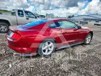 2019 Ford MUSTANG photo