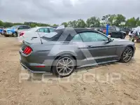 2019 Ford MUSTANG фото