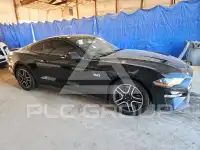2019 Ford MUSTANG фото
