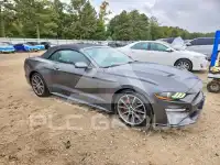 2019 Ford MUSTANG фото