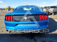 2019 Ford MUSTANG фото
