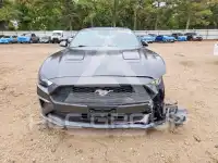 2019 Ford MUSTANG фото
