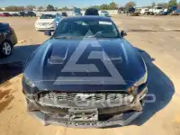 2019 Ford MUSTANG photo