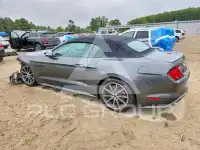 2019 Ford MUSTANG фото
