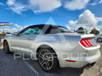 2019 Ford MUSTANG фото