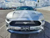 2019 Ford MUSTANG фото