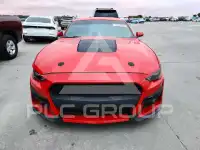 2019 Ford MUSTANG фото