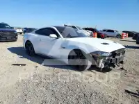 2019 Ford MUSTANG photo