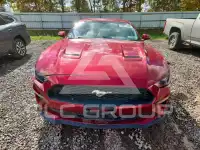 2019 Ford MUSTANG photo