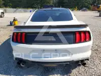 2019 Ford MUSTANG photo