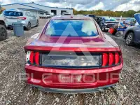 2019 Ford MUSTANG photo