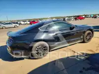 2019 Ford MUSTANG photo