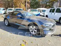 2019 Ford MUSTANG фото