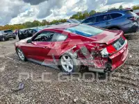 2019 Ford MUSTANG photo