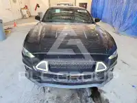 2019 Ford MUSTANG фото