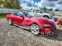 2019 Ford MUSTANG photo