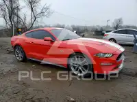 2019 Ford MUSTANG фото