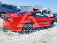 2019 Ford MUSTANG фото