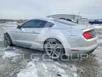 2019 Ford MUSTANG фото