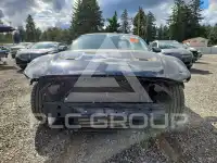 2019 Ford MUSTANG фото
