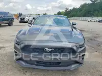 2019 Ford MUSTANG photo