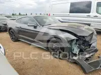 2019 Ford MUSTANG photo