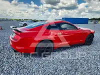 2019 Ford MUSTANG photo
