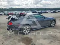 2019 Ford MUSTANG photo