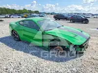 2019 Ford MUSTANG фото