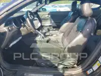 2019 Ford MUSTANG photo