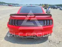 2019 Ford MUSTANG photo