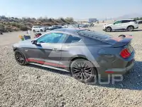 2019 Ford MUSTANG photo