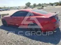 2019 Ford MUSTANG photo