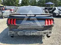 2019 Ford MUSTANG photo