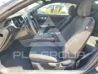 2019 Ford MUSTANG фото