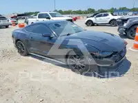 2019 Ford MUSTANG photo