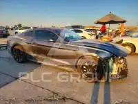 2019 Ford MUSTANG фото