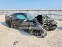 2019 Ford MUSTANG photo