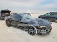 2019 Ford MUSTANG фото