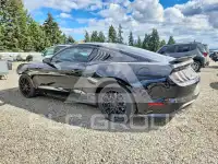 2019 Ford MUSTANG фото