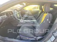 2019 Ford MUSTANG фото