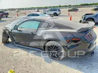 2019 Ford MUSTANG photo