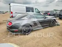 2019 Ford MUSTANG photo