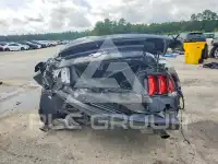 2019 Ford MUSTANG photo