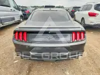 2019 Ford MUSTANG photo