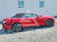 2019 Ford MUSTANG photo